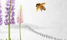 二十二属兔2022年的运势