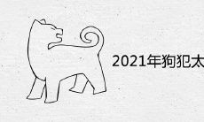 2021年狗犯太岁佩戴什么好辟邪转运的风水饰品
