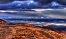 怀孕梦见鱼是什么意思周公解梦 怀孕梦见鱼死了是什么意思