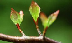 梦见丈夫杀人是什么意思