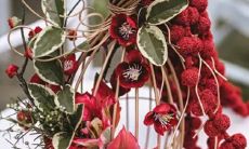 男水瓶双鱼座和女白羊座三区配对