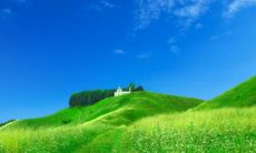 93男鸡和99女兔相配吗 男鸡女兔婚配是否合适