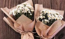 古老的星座大全