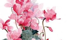 2022龙的运势1976女