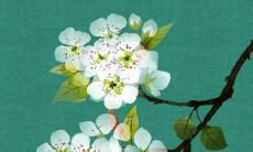 属虎太岁2022化解