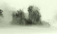 2023年属蛇运势怎么样