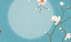 2023属虎事业运势怎样