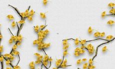 属鼠2023年婚姻运势