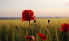 水地比卦详解事业变动方向 水地比卦详解姻缘