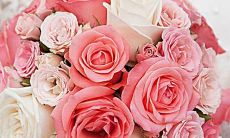 十二星座应该怎么算