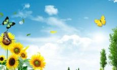 木和水组合寓意好的名字 木和水的女孩名字