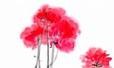 97年天蝎女2022年运势