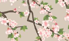 2022年的属猪人的运势