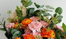 男天蝎座三区和女天秤座二区配对