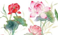 1996生肖鼠2022年运势大全