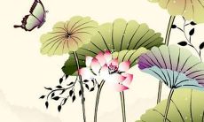 2023年属兔女的命运怎么样