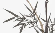 1961属牛人2022年全年运势