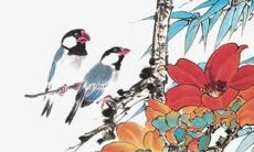 属虎女2023年的运势如何