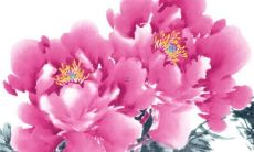 72年属鼠的佩戴什么好 72年属鼠男佩戴什么旺财