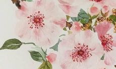 求推荐免费的起名软件