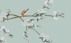 属鼠人2023年幸运颜色