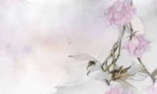 水鼠人2022年全年运势运程