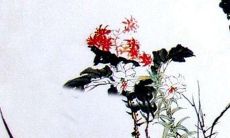 属牛人2023年运势如何