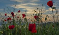 水瓶座男几岁变帅