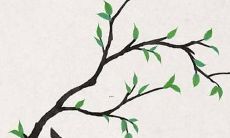 鼠年马的运势及运程