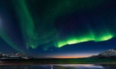 水瓶座能长多高