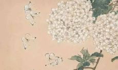 属鼠人今年的运势2023