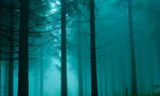 水瓶座天生什么脸