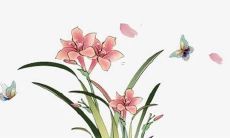 属兔的本命年多难