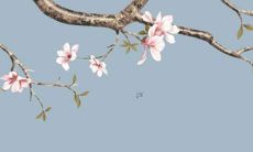 88年属龙人33岁灾难怎么避 88年属龙人的灾难年龄