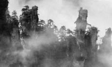 属猴1992年今年多少岁 1992属猴的今年多少岁