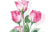 特殊好听的中草药名字