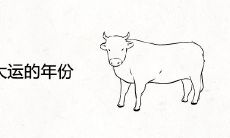 属牛人走大运的年份