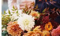 太阳白羊月亮星座天蝎座