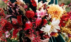 十二星座最容易被欺负