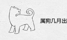 属狗几月出生最有福气