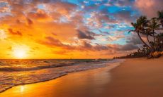 兔跟猴相配吗 兔跟猴生肖做夫妻好吗