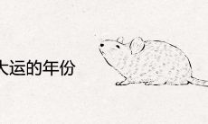 属鼠人走大运的年份