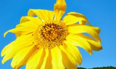 男鼠女兔其实很好 男鼠女兔有过得好的吗