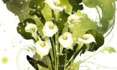 2023属马的人运气怎么样呀