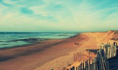 1997年是什么命 1997年命五行属什么