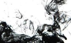 2000年属龙女最佳婚配年龄 2000年龙女的属相婚配表