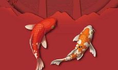 2022年属虎本命年可以扫墓吗，虎年本命年为什么不能去墓地