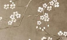 属虎属猪相配吗 属猪与属虎配吗