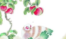 属兔2023运势完整版