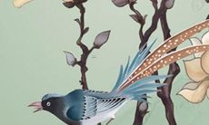 2023年属兔适合考研吗